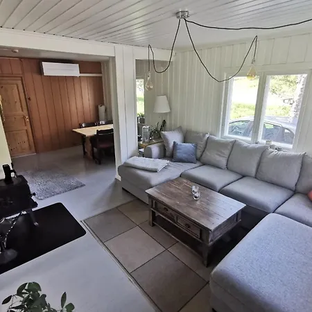度假居 Hemsedal - 5 Bedrooms *